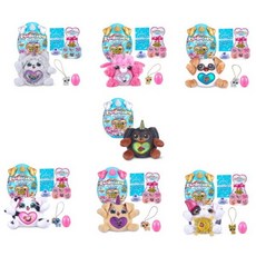 레인보우콘퍼피콘