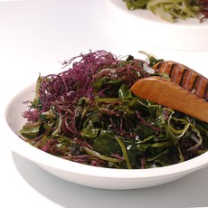 [바다채움] 모듬해초14종(염장)완도산1kg, 1개