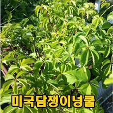7d8e23ab540eb338e25afe48f151a603a7092a0ac0415735c9150b999236.jpg