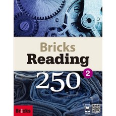브릭스리딩250