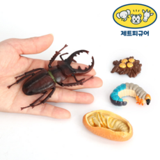 제트피규어 사슴벌레 성장과정 성장 한살이 피규어 동물 모형 장난감
