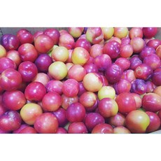 [제철특가] 노지 자두 햇 자두 (다둥이농원), 소, 1개, 3kg