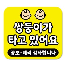 라쿤마켓 차량용 스티커 총27종 초보운전 아이가 타고 있어요 임산부가 타고있어요 강아지가 타고있어요 어르신운전중 혈액형 장애인 도로주행 연수용 탈부착 반사 자석, 1개, 08_쌍둥이가타고있어요