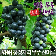 ab66fb0881c20e8eba1422795092d4469b52dc52d2abb6f9bf9434f25dda.jpg