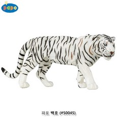 파포