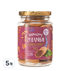 영양간식 감성먹거리 건조무화과 300g 5개