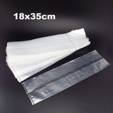 식물사전선인장