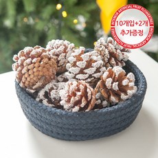 뉴솔방울 5cm (10p)-가루화이트 장식 트리 TROMCG, 가루화이트, 10개