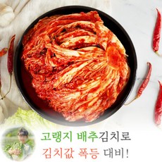 여름배추절임