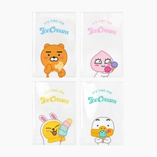 카카오프렌즈 여권케이스 투명