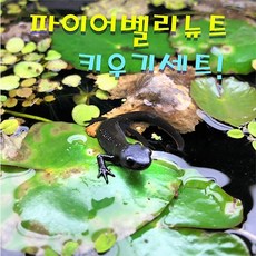 8cd37be1bc2302a6b1a57c3aad69dd2b72b2a983f2b8500523a809a5e0ea.jpeg