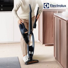 일렉트로룩스q6