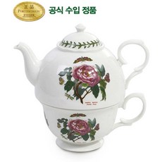 포트메리온티라이트