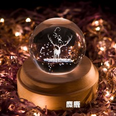 하포드단델리온