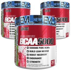 EVLUTIONNUTRITION BCAA 5000mg, 3개, 249g
