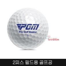 리앤킴 PGM 2피스 20개 디스턴스 골프공 GH98, 60개 - pgm골프공