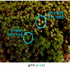 ebe03cd6b25a008d456d9e11606e282728c3fb110874492b19dd626f8f54.png