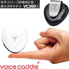 보이스gps