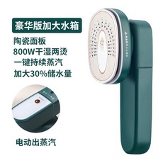 루미스팀다리미