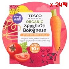 Tesco 테스코 스파게티 볼로냐 베이비 트레이 190g 24팩, 24개