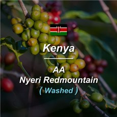 [커피생두] 케냐 AA Top 니에리 레드마운틴 1KG, 1개