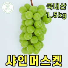 영월포도