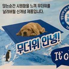 //상품명