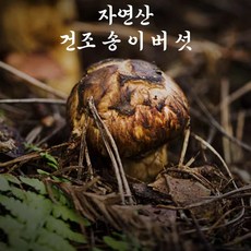 프룻프룻 진짜 자연산 건조 송이버섯, 1개, 50g