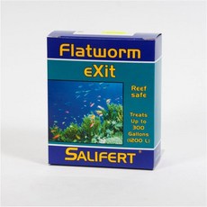셀리퍼트 Flatworm EXIT 플랫웜, 1개