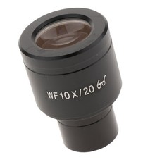 d5f1070dfedeb995edae087314b3e0dfed6d228fe9a286e138a307f7e249.jpg