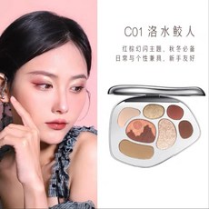Catkin 올인원 아이섀도우 팔레트 매트 어스 컬러 블러쉬 하이라이터 트리밍 전문 메이크업 희귀 뷰티, 01 C01, 1개