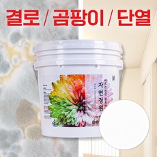 단열 천연 페인트 12kg 자연정원 항균 방수 곰팡이제거 결로방지 친환경, 화이트, 1개