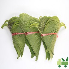 사라상회깻잎