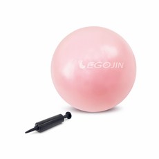 이고진토끼짐볼