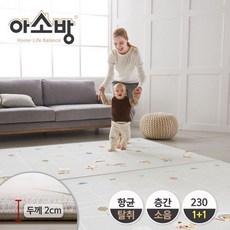 아소방1+1
