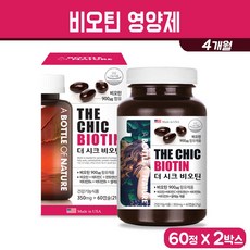 하퍼스테이블더시크