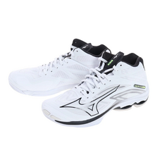 v1ga225009 TOP01