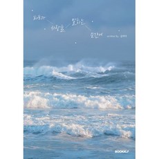 파도가 사랑을 말하는 순간에, BOOKK(부크크), 김바다 저
