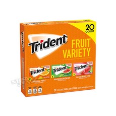 트리던트 슈가프리 껌 과일맛 TRIDENT FRUIT GUM 14X20