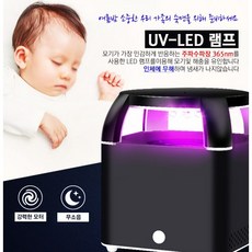 트립트랩화이트