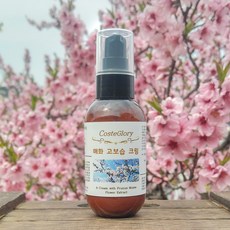 코스테글로리 매화 고보습 크림 80g, 1개