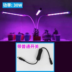 일반led조명으로식물키우기