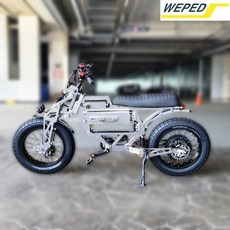 위페드 F1 전기자전거 60V 30Ah WEPED F1 E-bike, 기체만