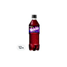 웰치스 제로 그레이프맛, 550ml, 48개