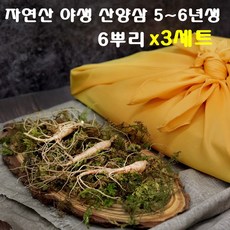 e77596fa3214efe78ff56670f3fabd50a9599e0c71ad3201d1a628584c13.jpg