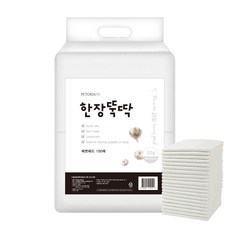 한장뚝딱 라이트 강아지 애견 패드 20g 100매 40x50cm, 라이트 20g 100매