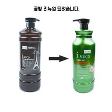 모이코이샴푸