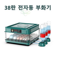 알콤부화기