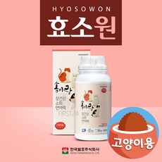 새솜이
