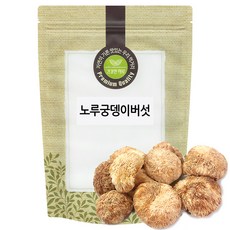 노루궁뎅이버섯 실속형 150g 국산 국내산, 1개